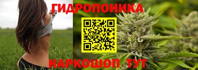 эйфоретик Кинель