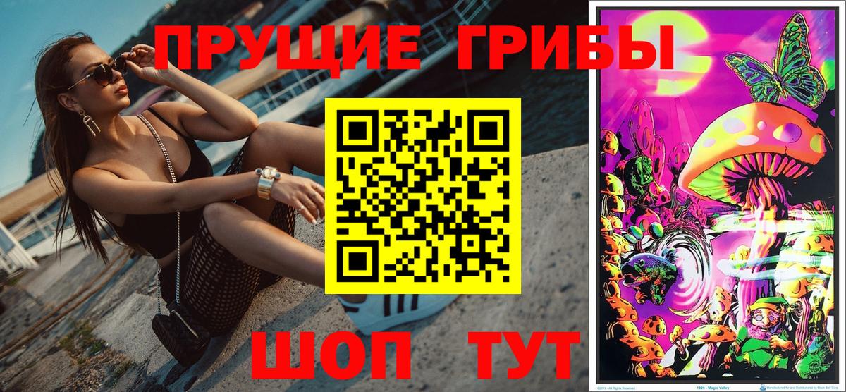 Красный Сулин  Галлюциногенные грибы Magic Shrooms  купить   Вход с VPN 