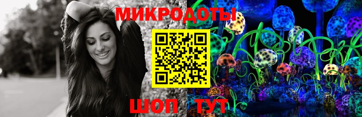 Псилоцибиновые грибы Magic Shrooms Красный Сулин